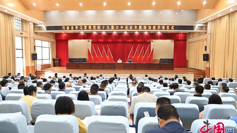 远程教育与网络教育：本质区别与适用场景
